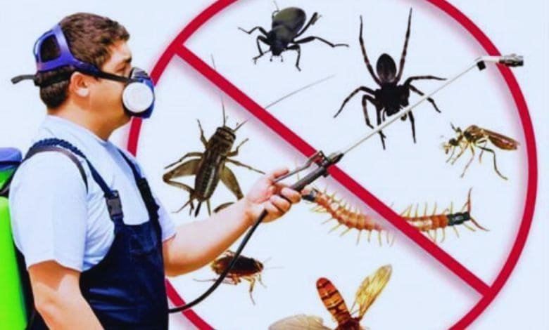 اسعار شركات مكافحة الحشرات
