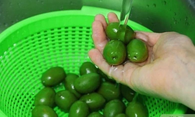 طريقة تخليل الزيتون بالماء والملح