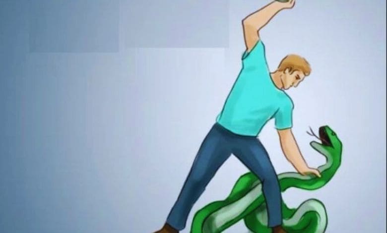 تفسير حلم رأس انسان وجسم ثعبان